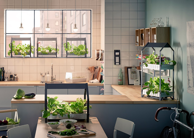 hydroponic-gardening-krydda-vaxer-series-kit-ikea-sustainable-homeware-design-interior-indoor_dezeen_1568_10